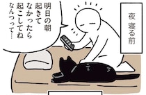 「明日の朝起こしてね」と愛猫にお願いしてみた。起きるまでひたすら...／黒猫ろんと暮らしたら6
