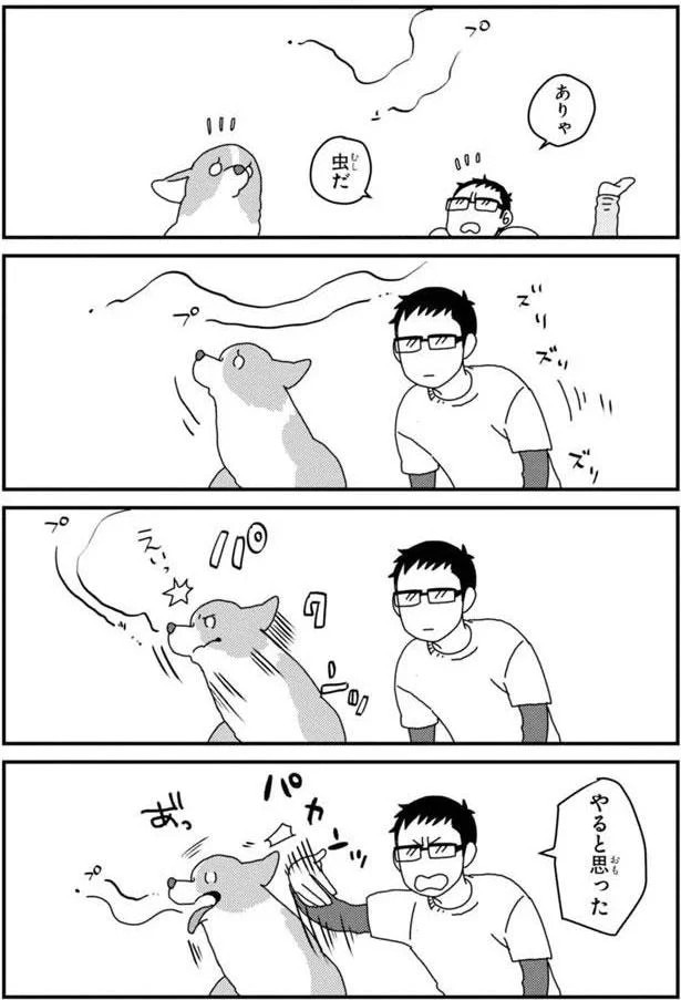 15699729.webp