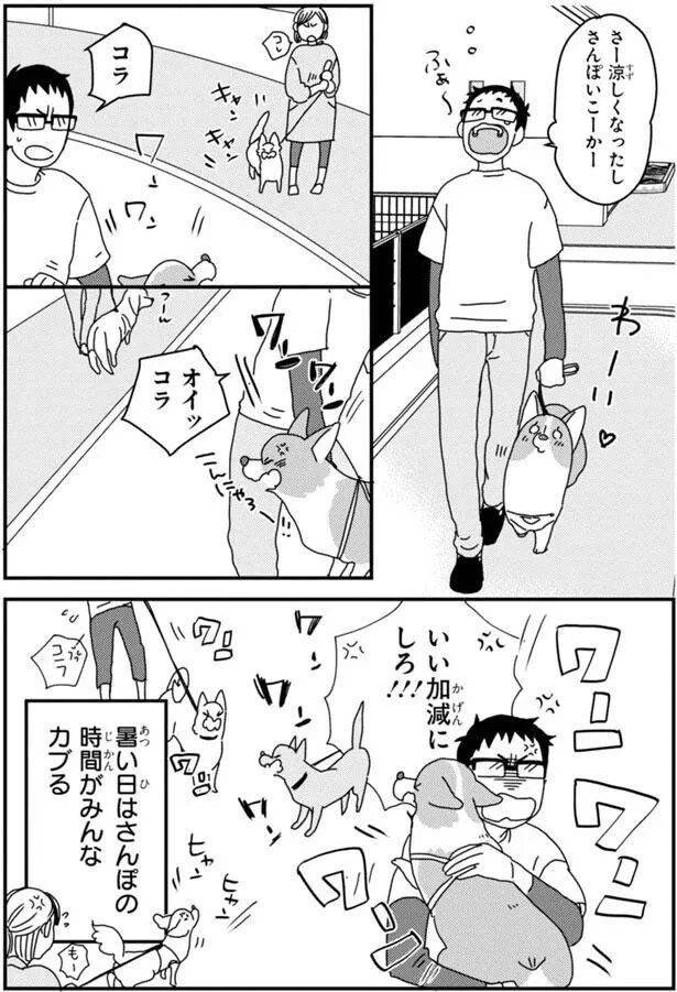 15699731.webp