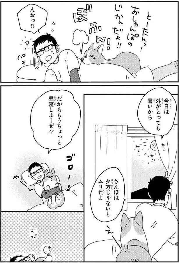 15699730.webp