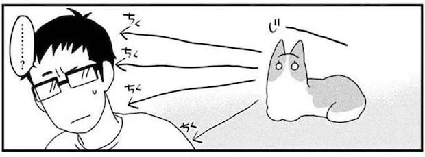 愛犬コーギーの「すごい技」。じっと見つめてきたと思ったら...／あしょんでよッ5