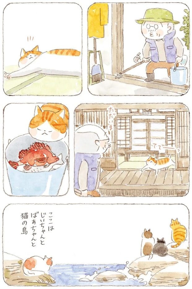 15824614.webp