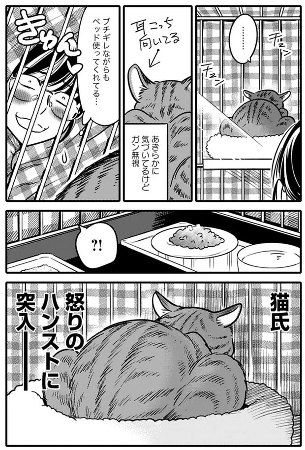 15791698.webp