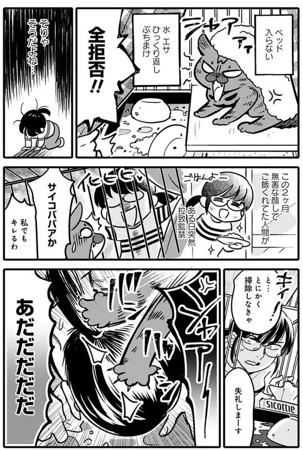 15791696.webp