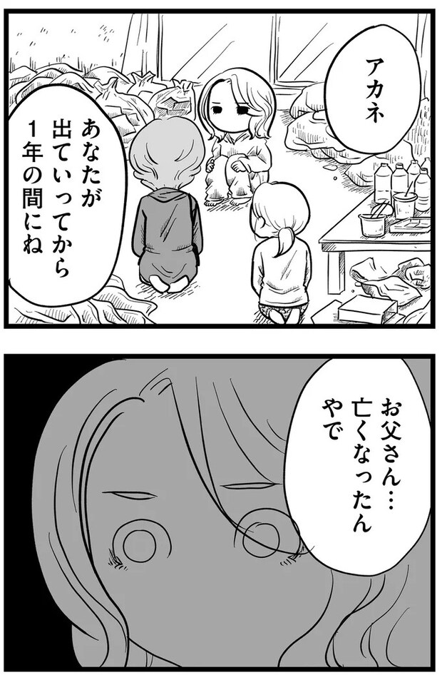 15720274.webp