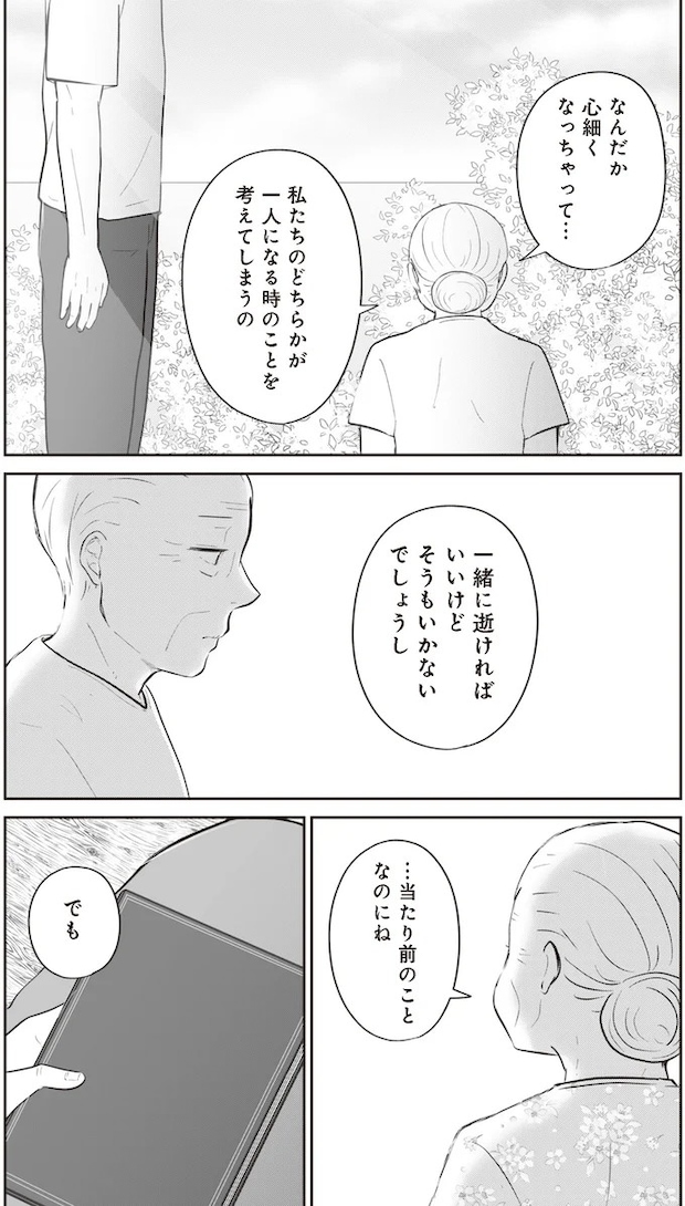 15753623.webp