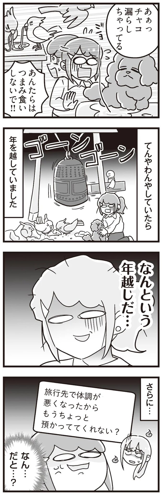 15861302.webp