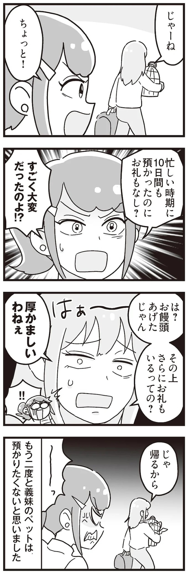 15861304.webp