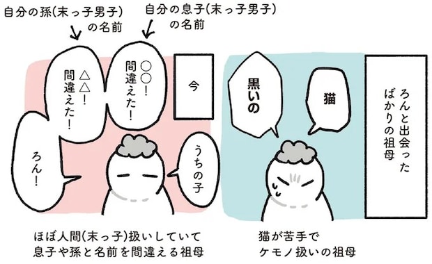 15904136.webp