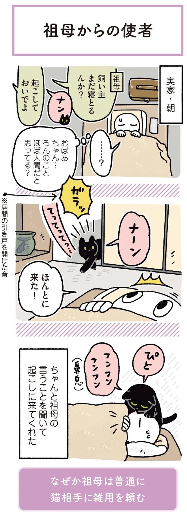 15904134.webp