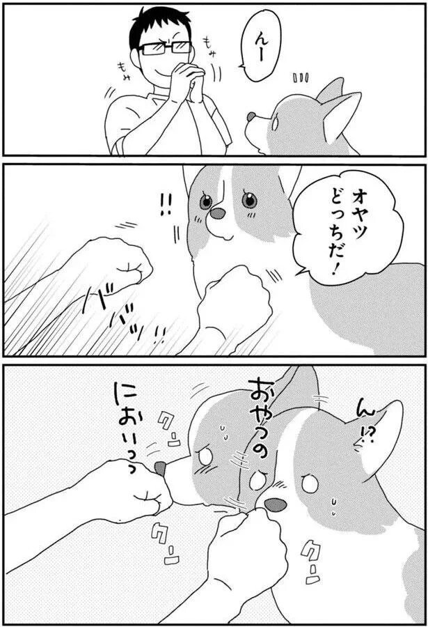 15699736.webp