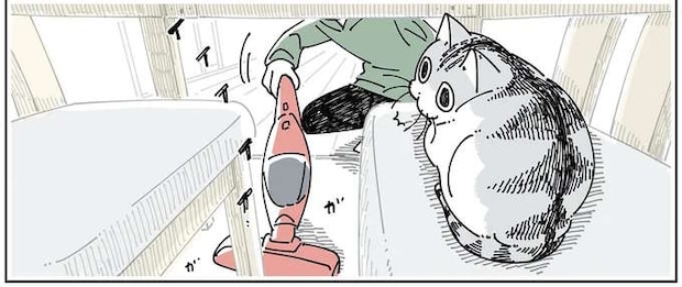 猫は怖がっているけど...？ 掃除機と絶妙な距離にいて／夜は猫といっしょ6