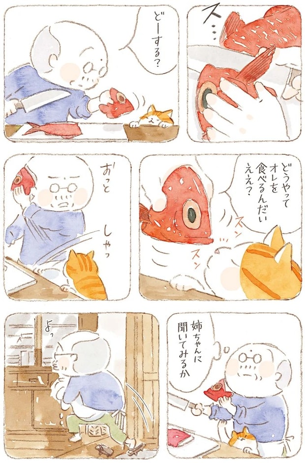 15824645.webp