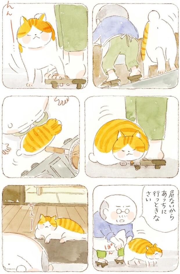15824647.webp