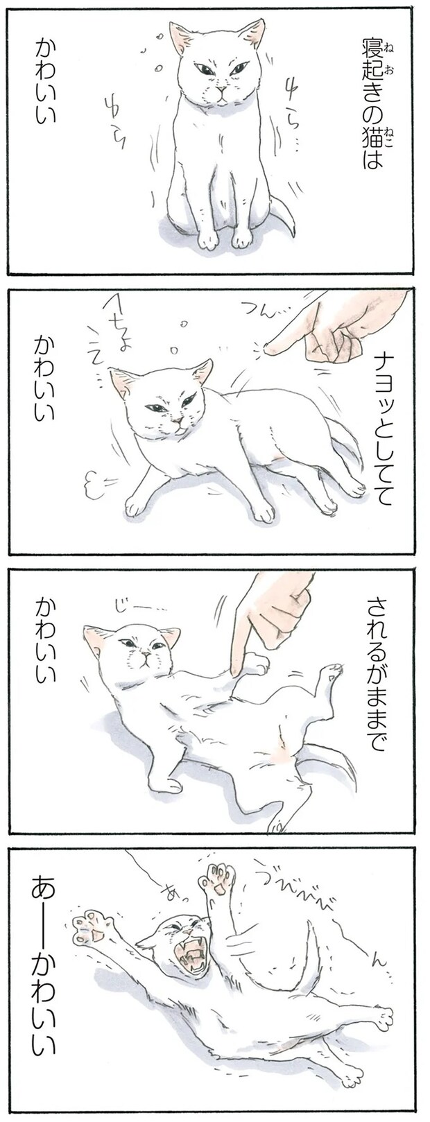 15896806.webp