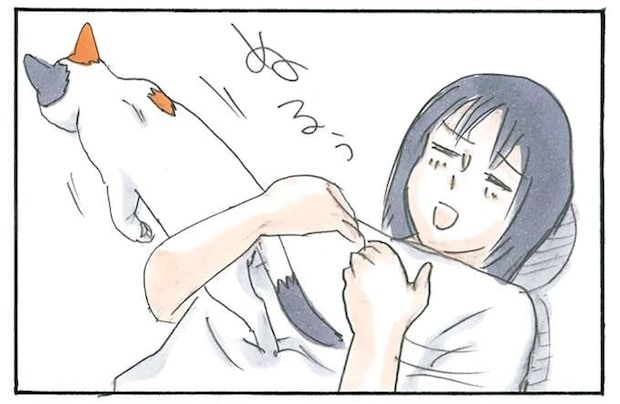 猫のスルースキル。「おいでー」と呼ぶ飼い主に応えたと思ったら？／拾い猫のモチャ3