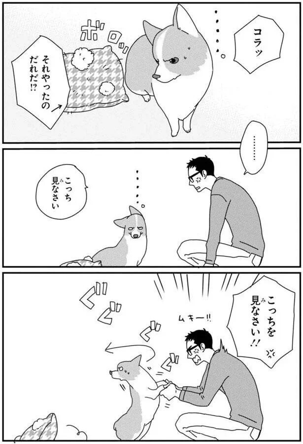 15699744.webp