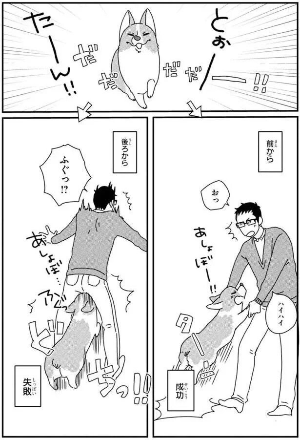 15699743.webp