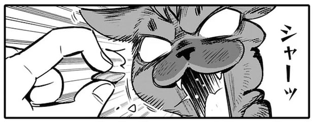 ご飯を拒否し続ける保護猫。見かねて刺身をあげてみたら...え？／ブリちゃん日記