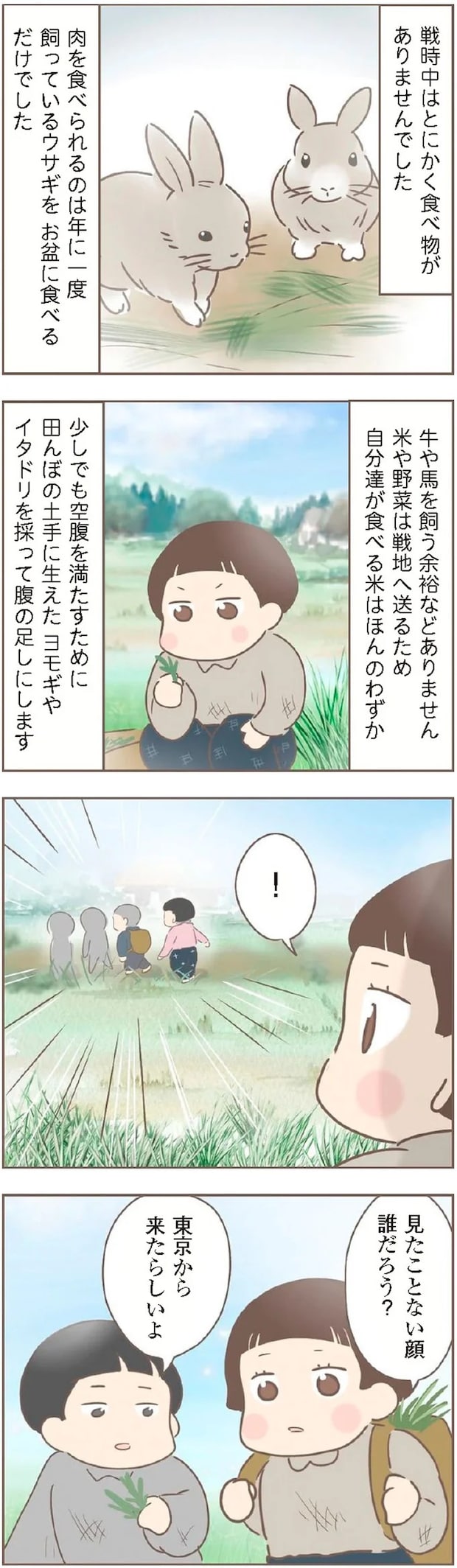 15872258.webp