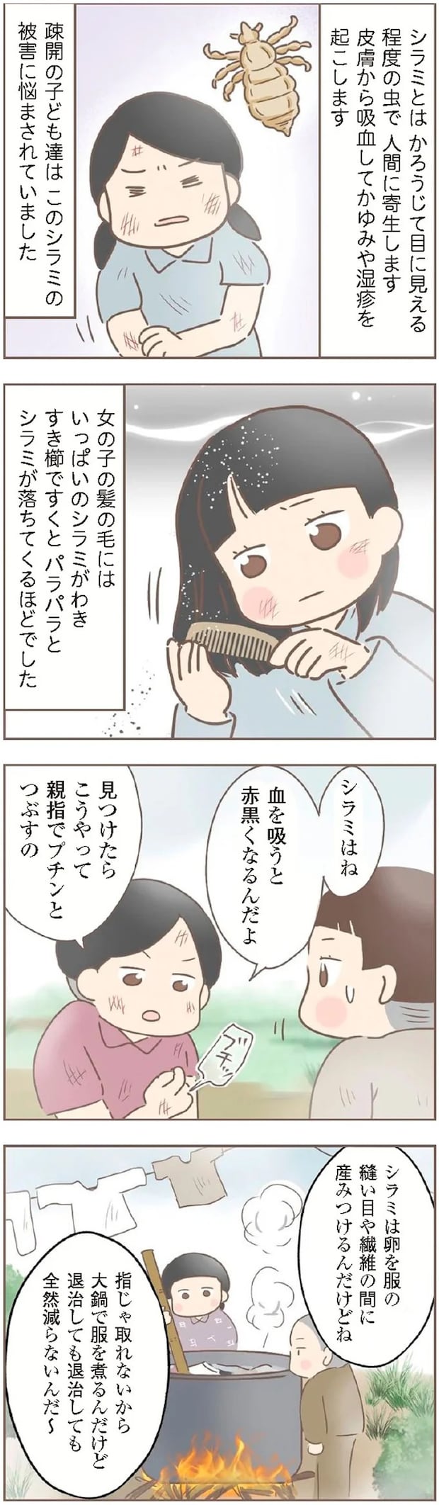 15872264.webp