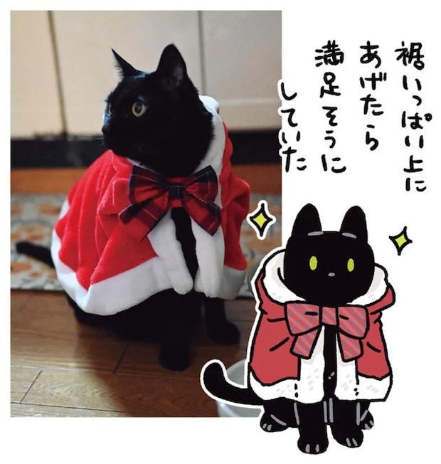 15904166.webp