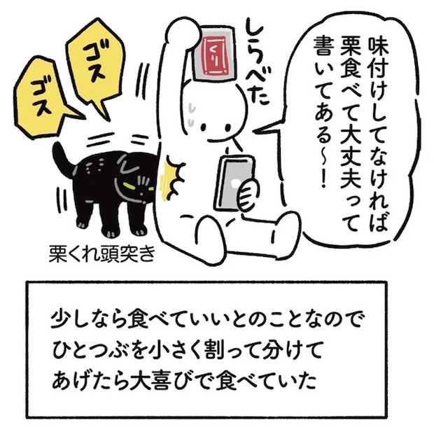 15904164.webp