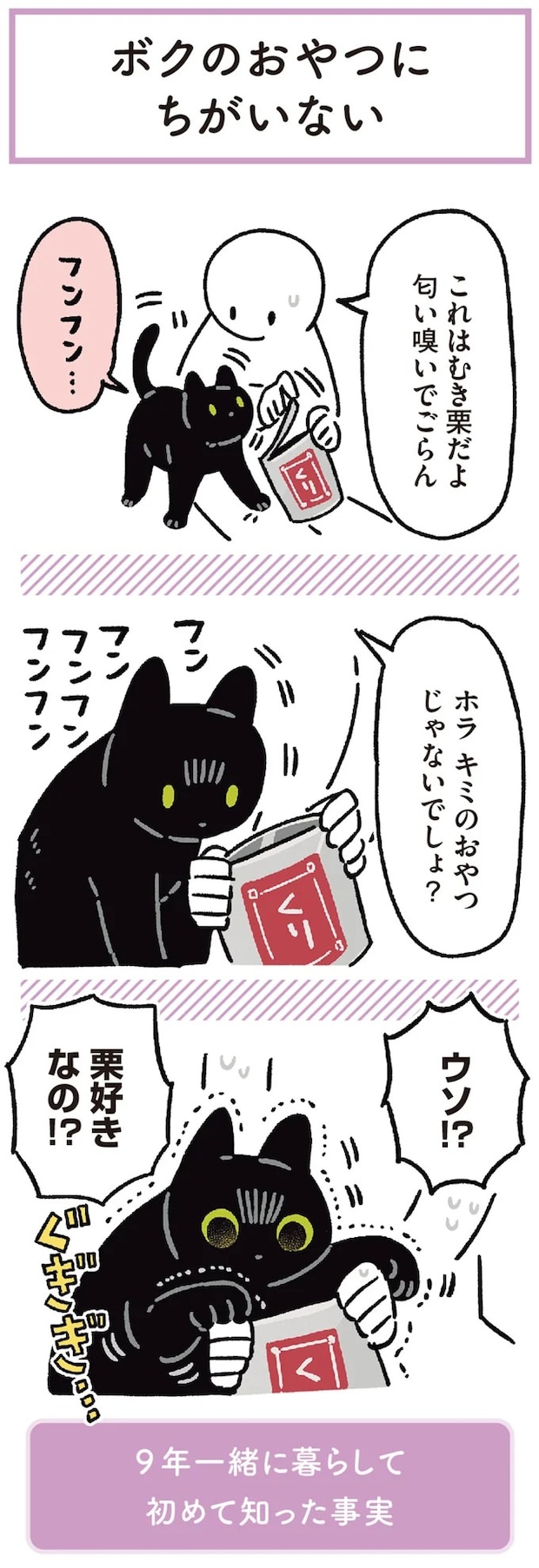 15904163.webp