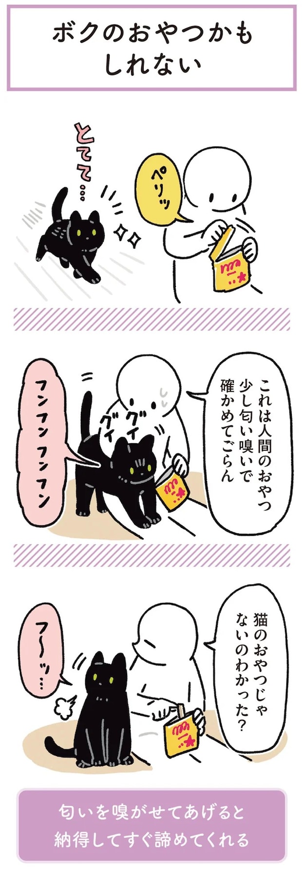 15904162.webp