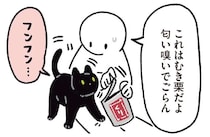 猫と9年一緒に暮らして初めて知った...！ え、これ好きなの？／黒猫ろんと暮らしたら6