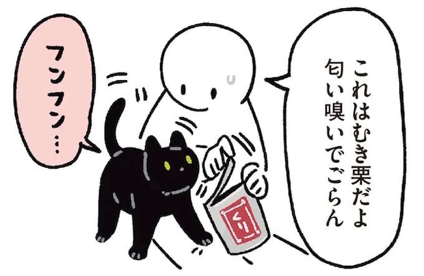 猫と9年一緒に暮らして初めて知った...！ え、これ好きなの？／黒猫ろんと暮らしたら6