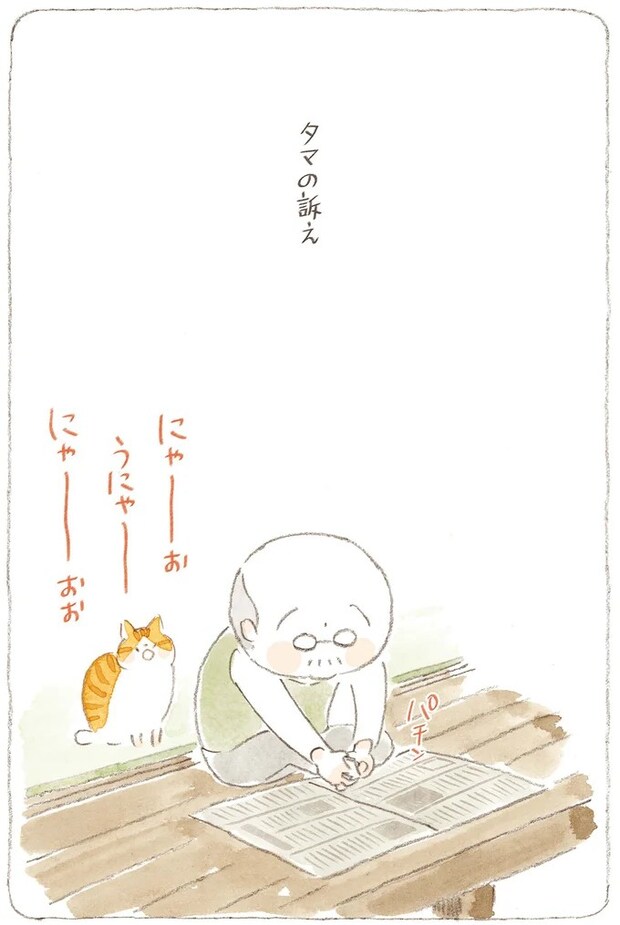 15824656.webp