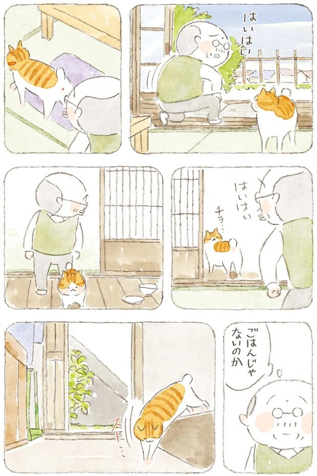 15824659.webp
