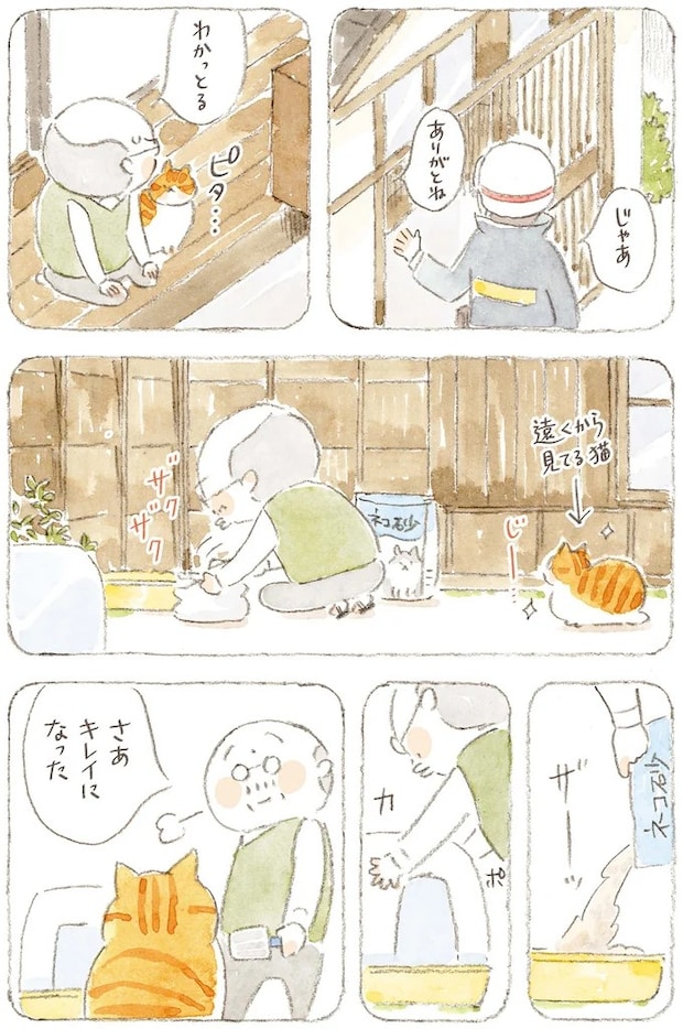 15824662.webp