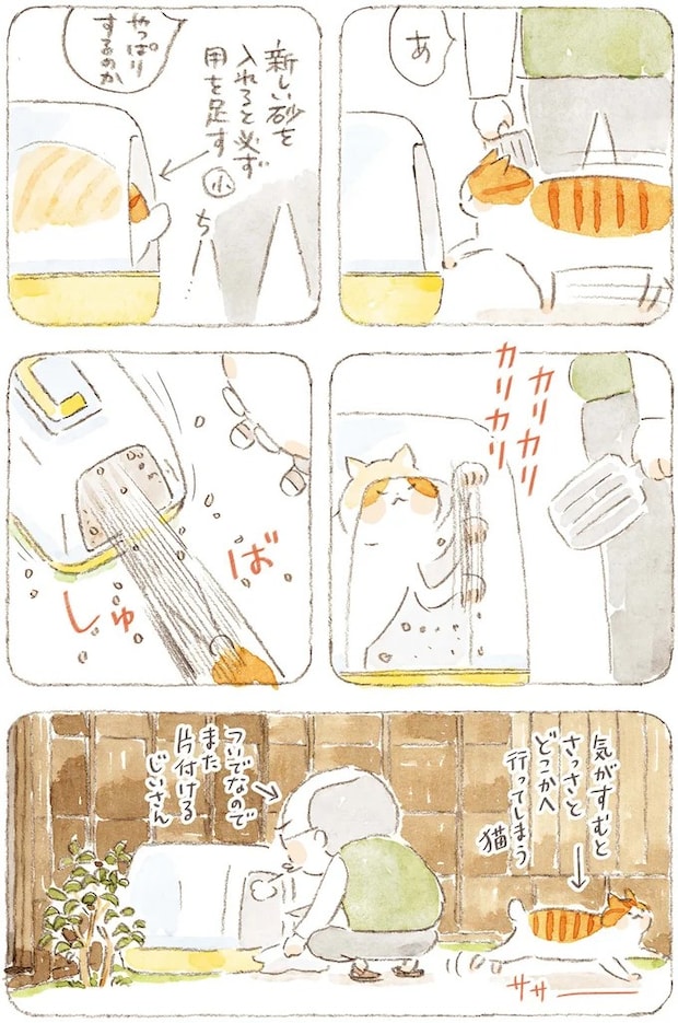 15824663.webp