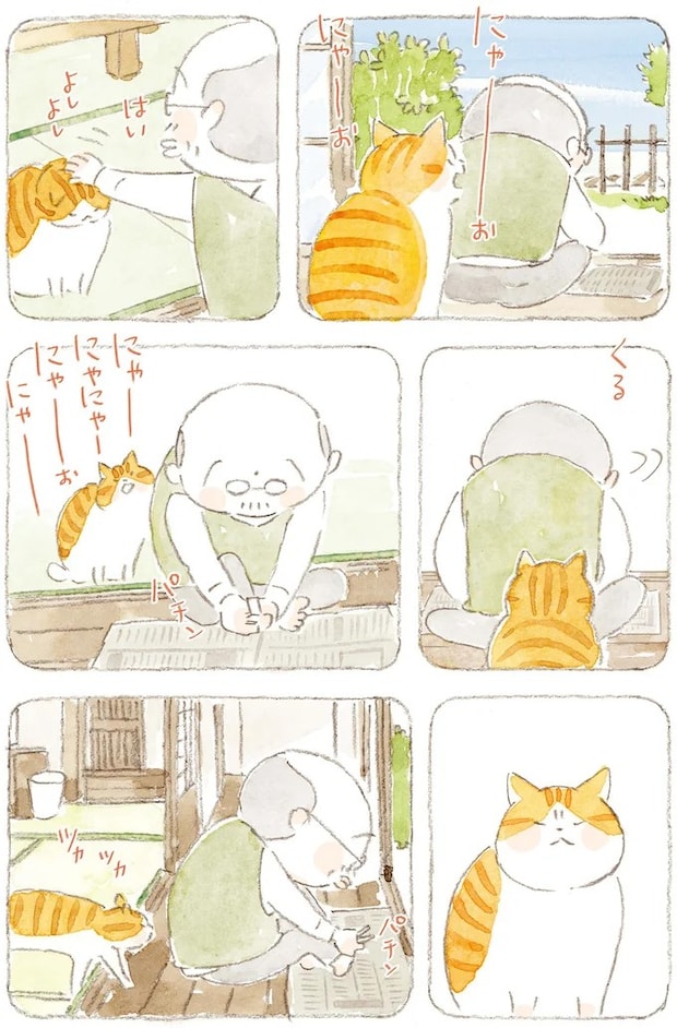 15824657.webp