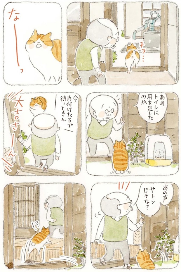 15824660.webp