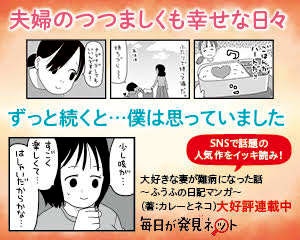 fufunonikkimanga_banner.jpg
