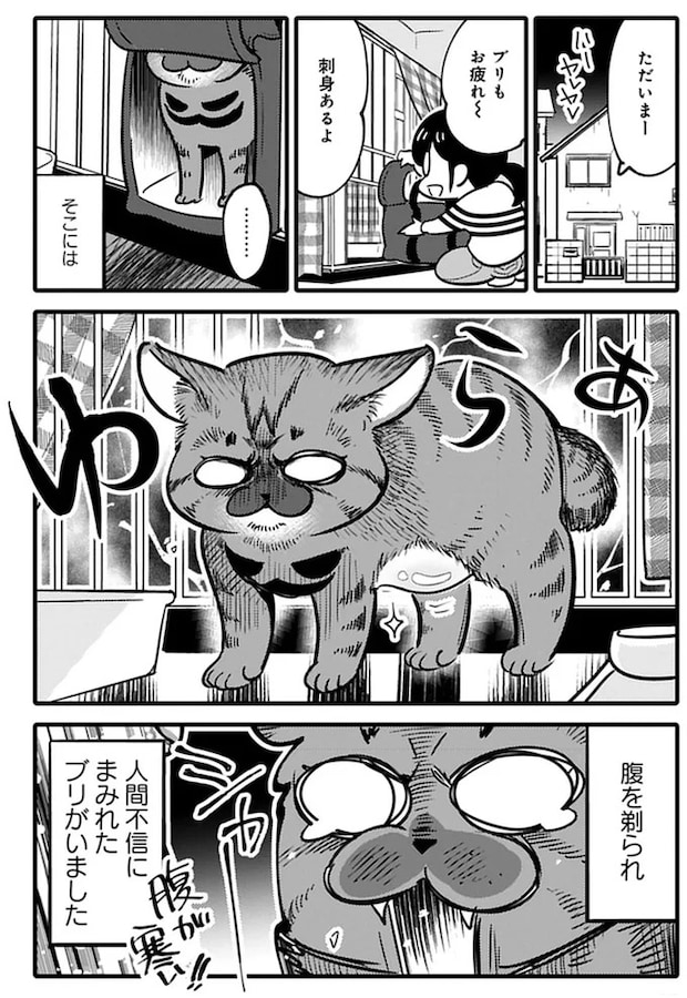 15791989.webp