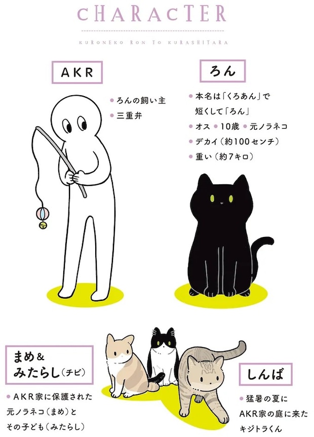 15904075.webp