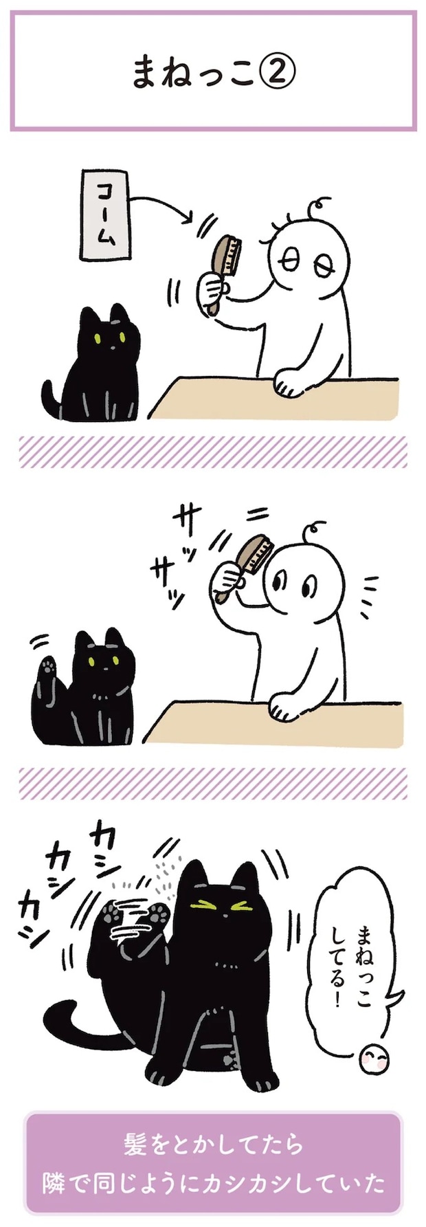 15904173.webp