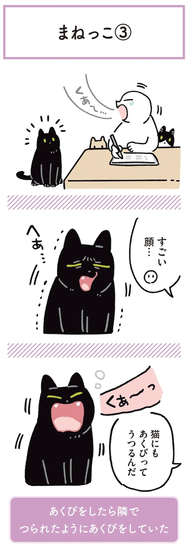 15904174.webp