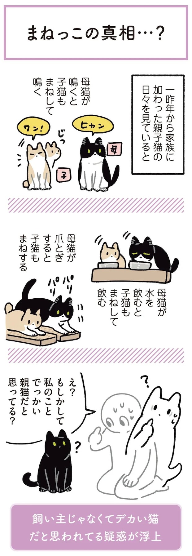 15904176.webp