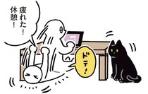 まねっこが得意な猫。寝転んでのび～、毛をとかし、そして...／黒猫ろんと暮らしたら6