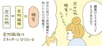 なぜ太ってしまうのか？ 痩せるために知っておきたい糖質のはたらき／ネコちゃんのゆるゆるダイエット塾