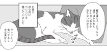 15歳の猫がカリカリを食べなくなった。それが「きざし」だった...／世界一幸せな飼い主にしてくれた猫