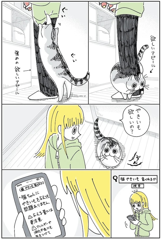 15965318.webp