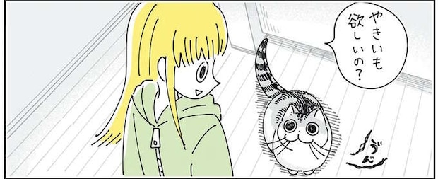 あんたって子は。愛猫が焼いもを欲しがったので分けてあげたら...／夜は猫といっしょ6
