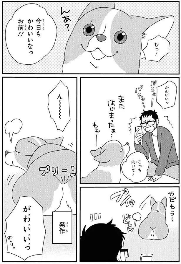 15726818.webp