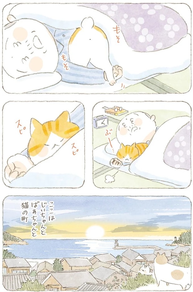 15824689.webp